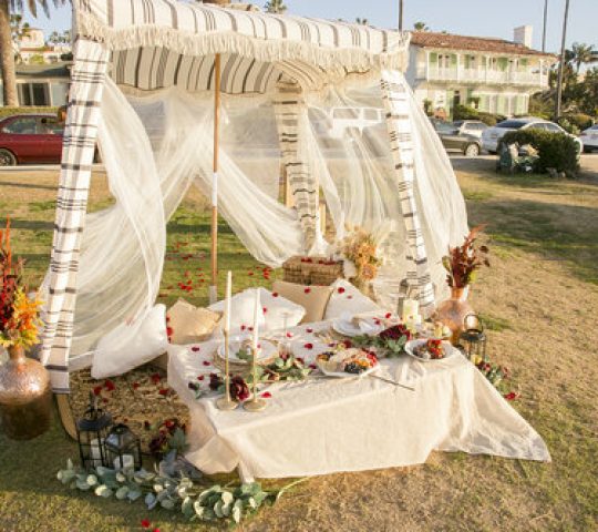 San Diego Picnics