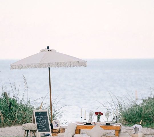 Picnic POP-UP