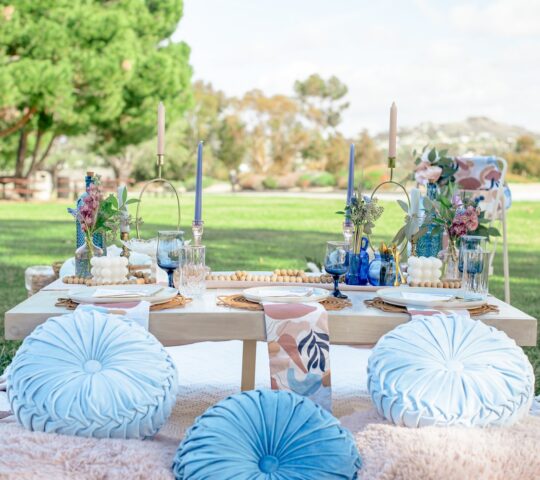 MCP’S PICNIC CO