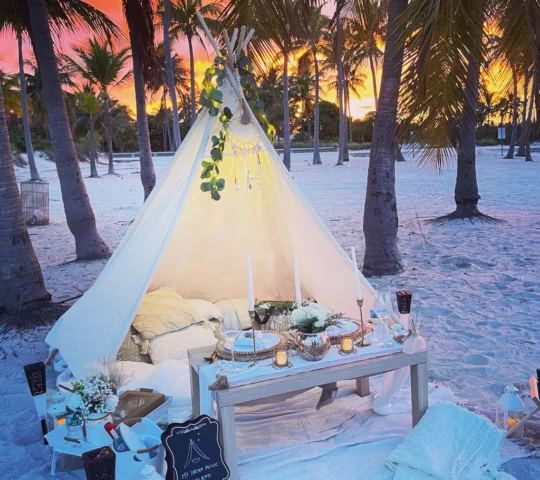 My Dream Picnic